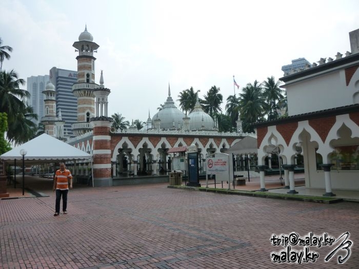P1040714.JPG