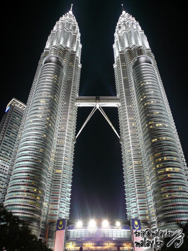 8896518.jpg