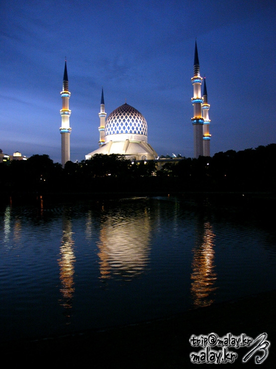 P10857.jpg