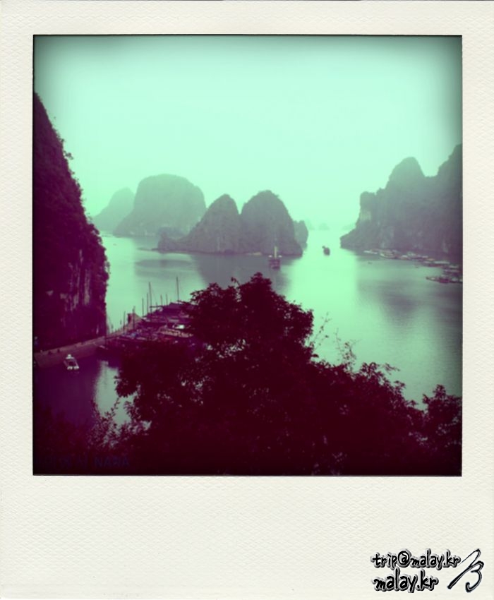 IMG_0404-pola.jpg